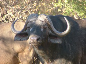 HOLIDAY JUNE 07 (408)